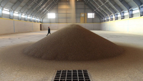 Запасы российского зерна в прошлом месяце выросли более чем на 58%